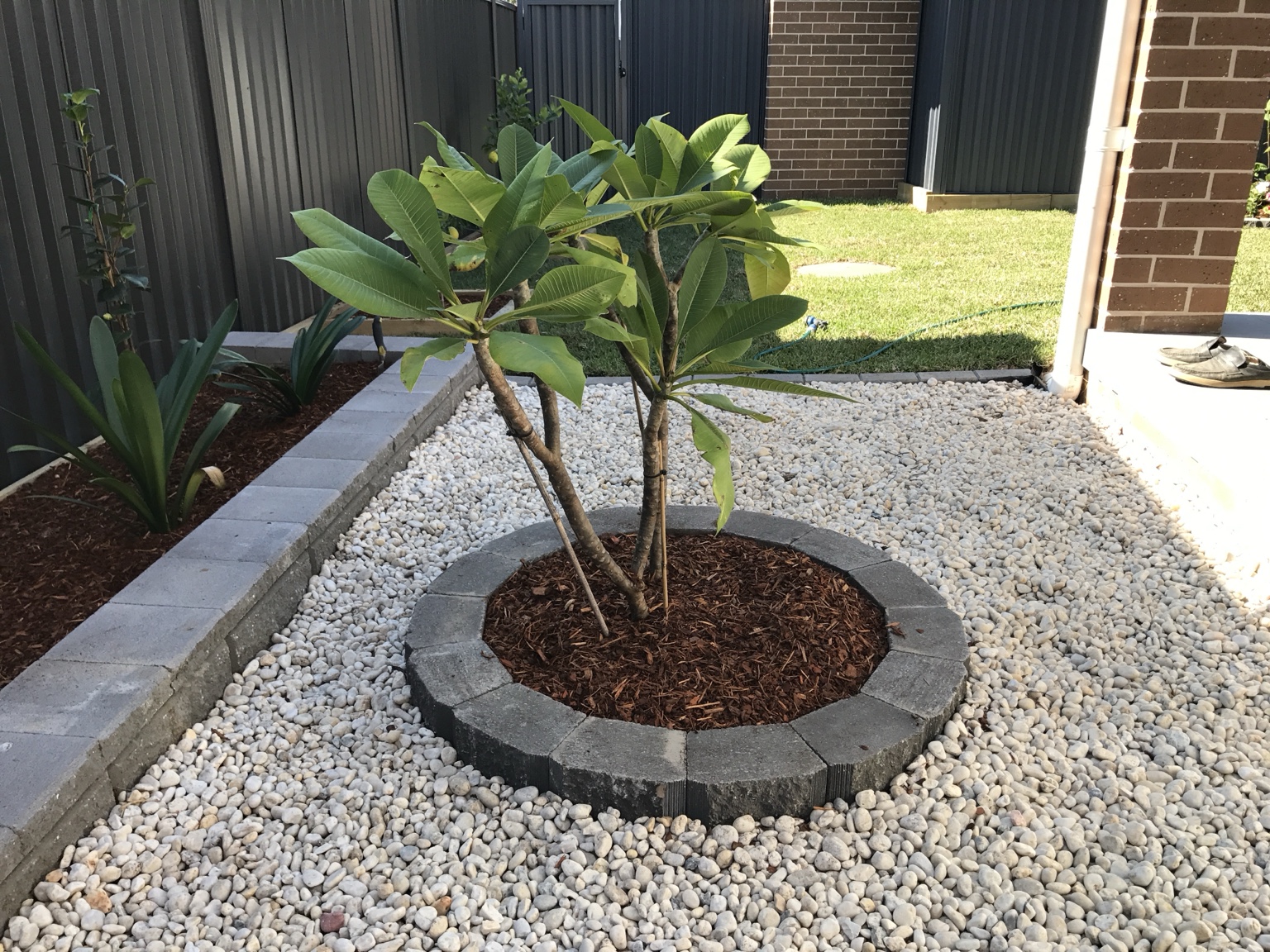 Circular planting bed & white pebbles